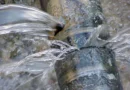 Niewidzialny wróg w Twoim domu – jak skutecznie walczyć z awariami instalacji?